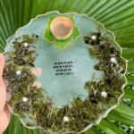 Preserved Tulsi Mala in Resin Plate – A Divine Keepsake from Vrindavan